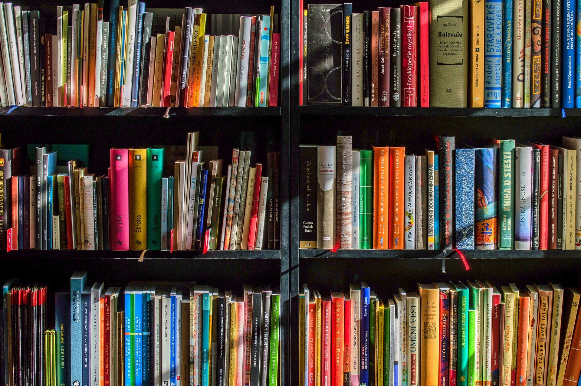 Ein Bücherregal mit vielen bunten Buchrücken.